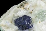 Large Lazurite Crystals in Calcite Matrix - Afghanistan #111792-2